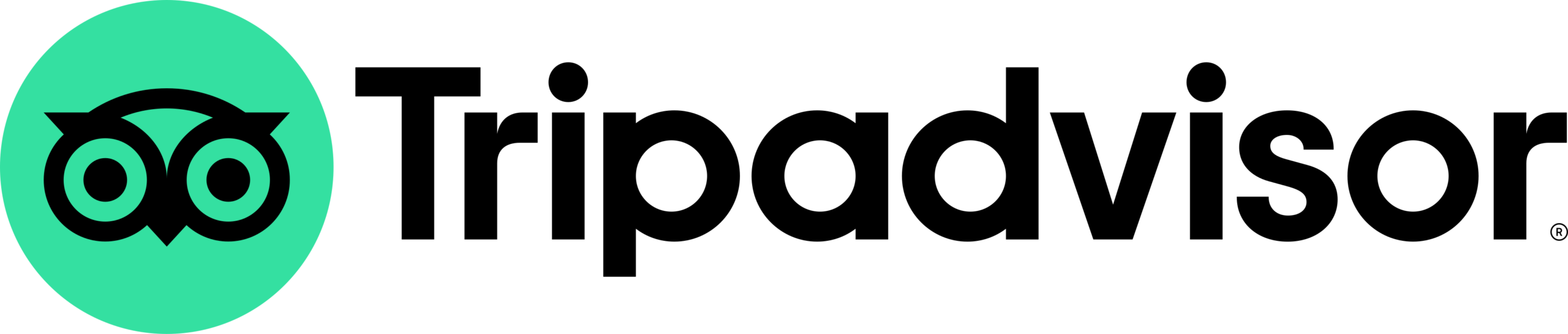 tripadvisor logo.svg